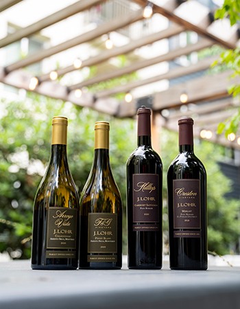 Sustainable Assorted Wine Collection